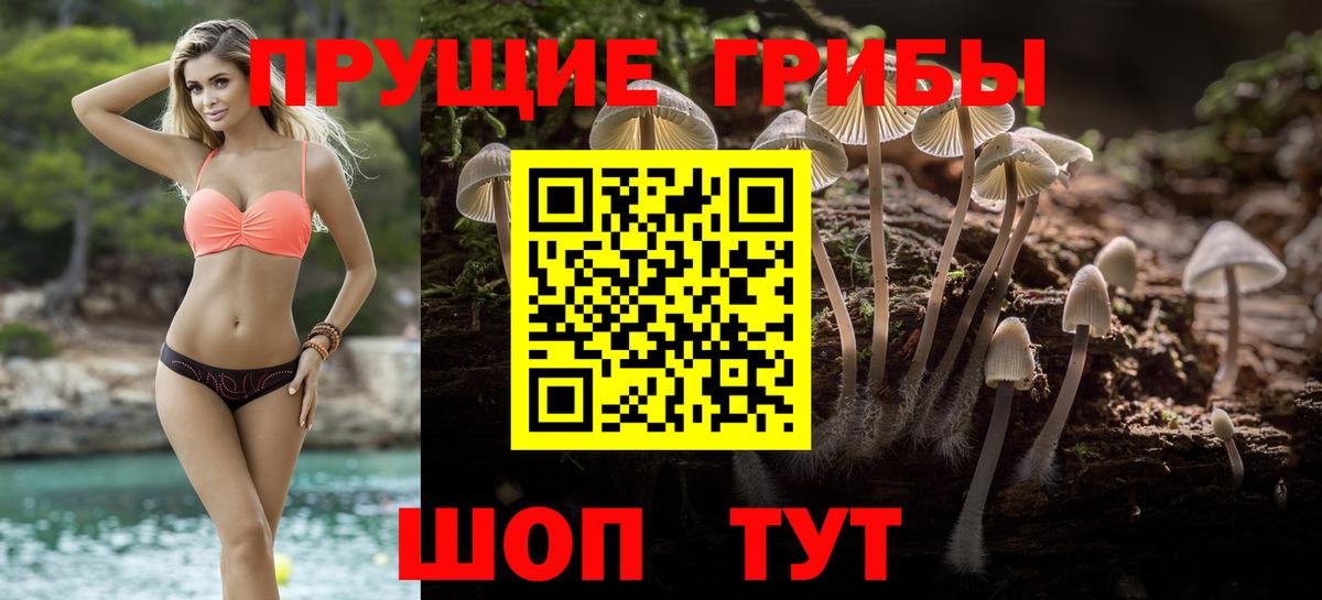Псилоцибиновые грибы Cubensis  Вход с VPN  Моздок 