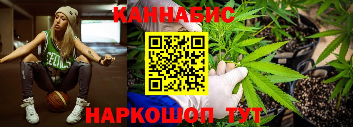 Моздок  МАРИХУАНА тримм  Вход с VPN  Бошки Шишки план  Конопля индика 